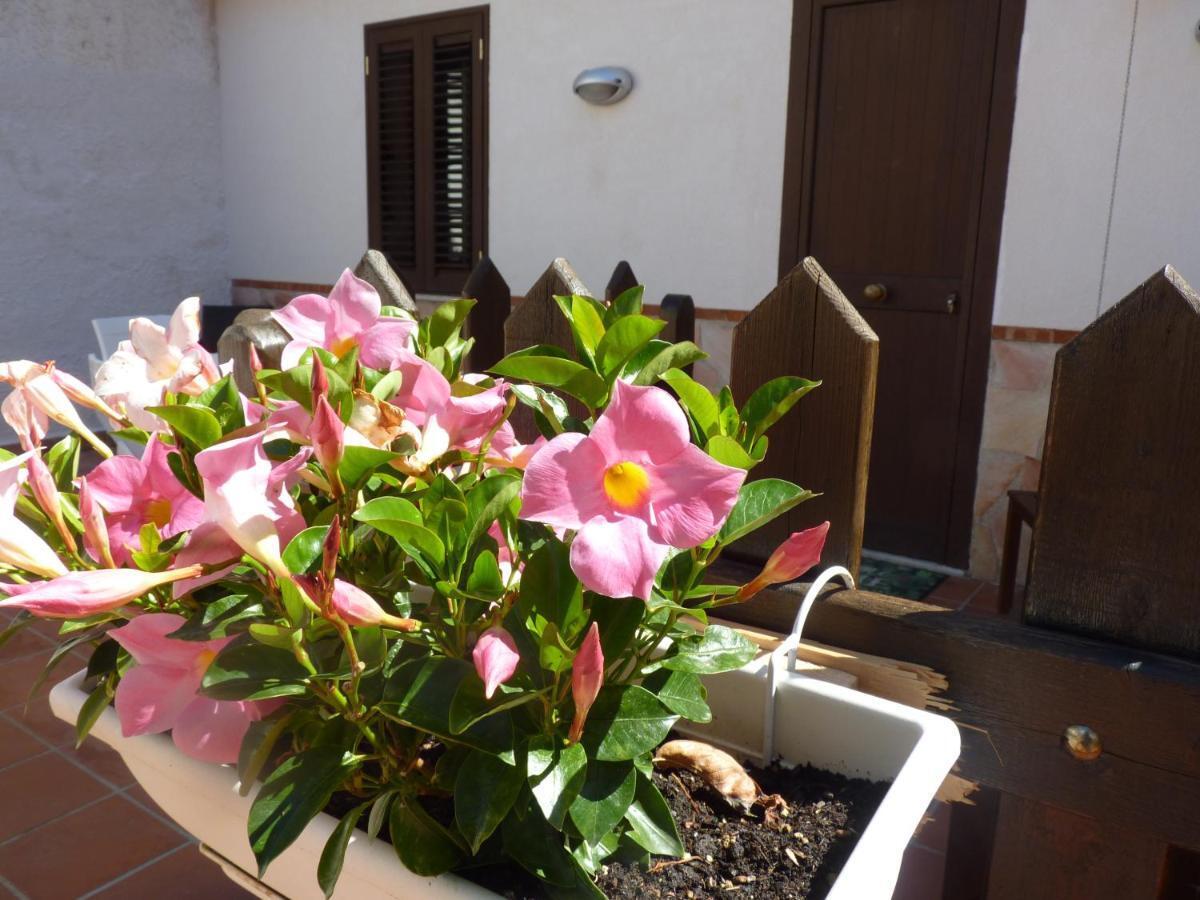 Villa Rosa Luxury Apartment Mondello Dış mekan fotoğraf
